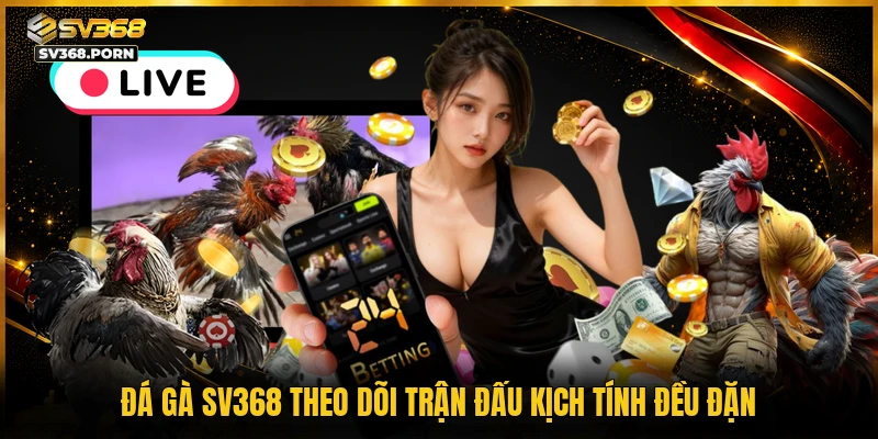Đá gà SV368 theo dõi trận đấu kịch tính đều đặn